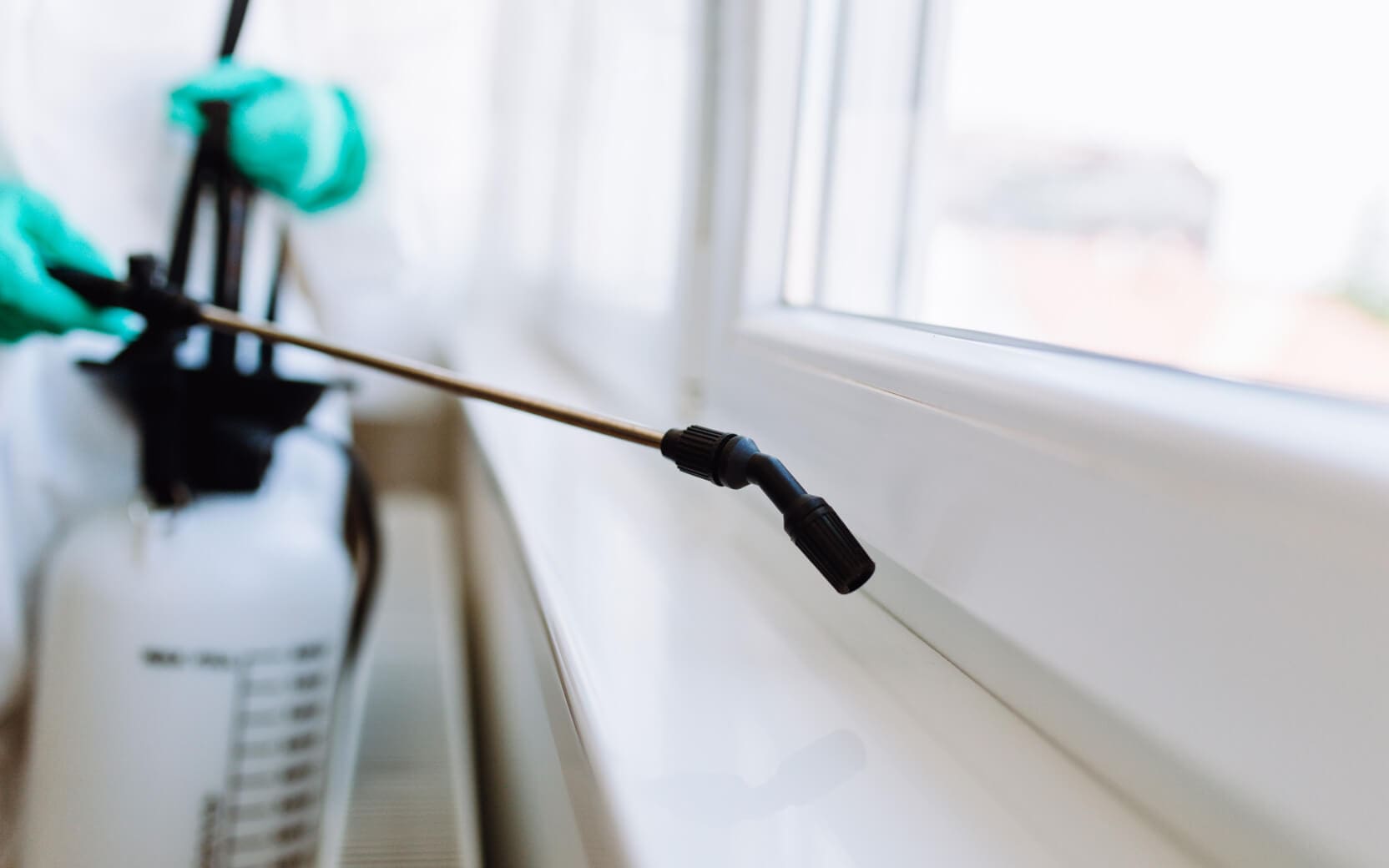 bed-bug-pest-control-services