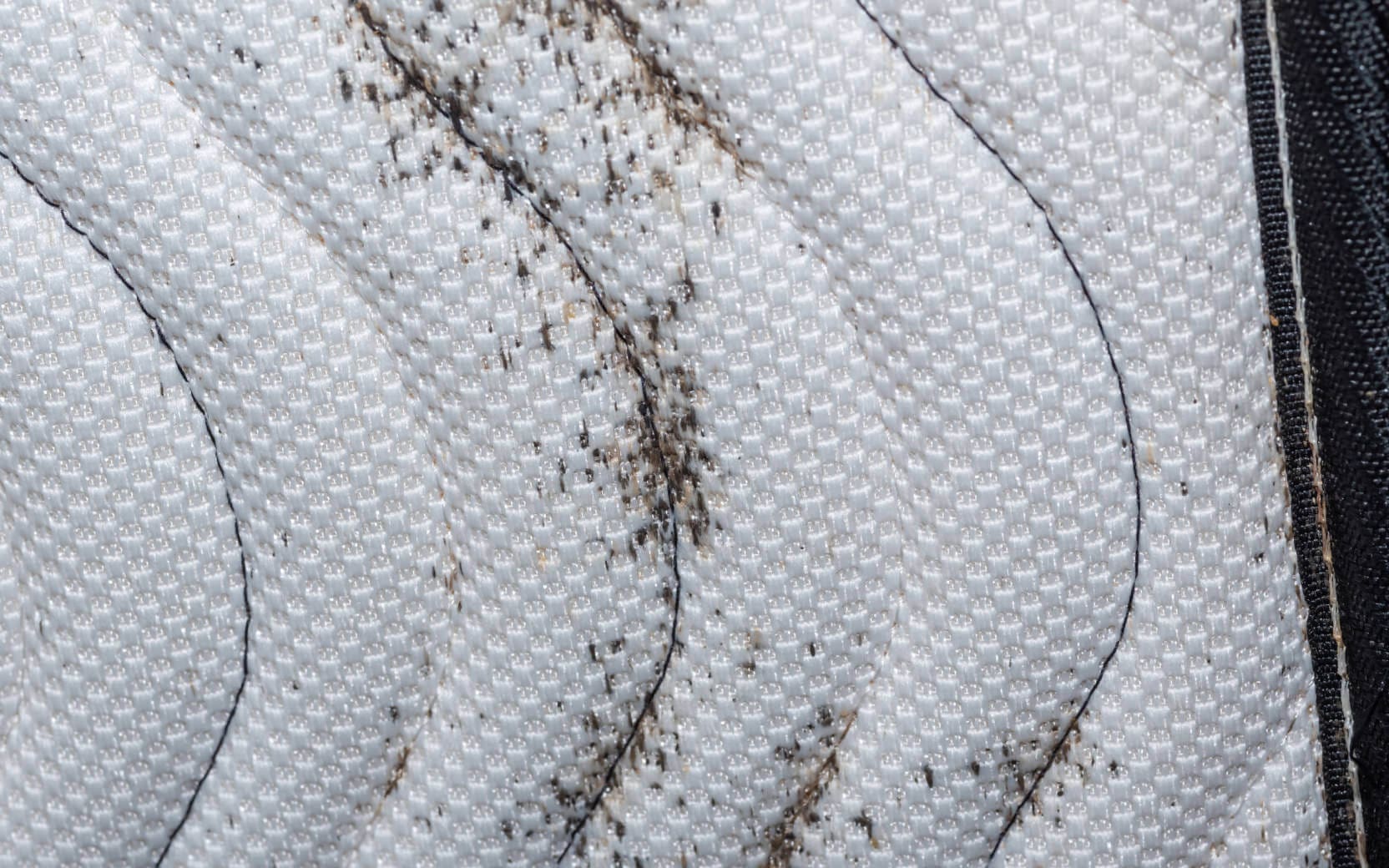 bed-bugs-mattres-detection