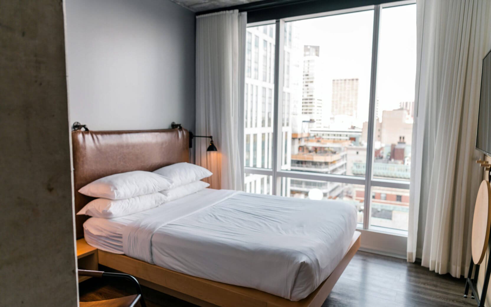 bed-bugs-shared-accommodations