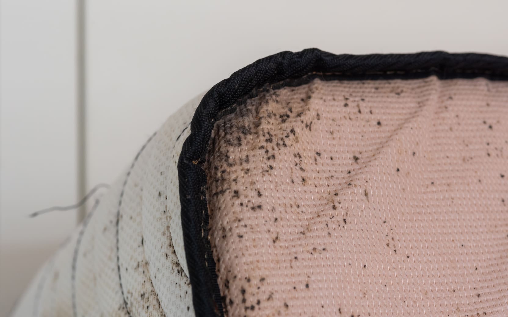 ibbs-bed-bug-preventive-guidelines
