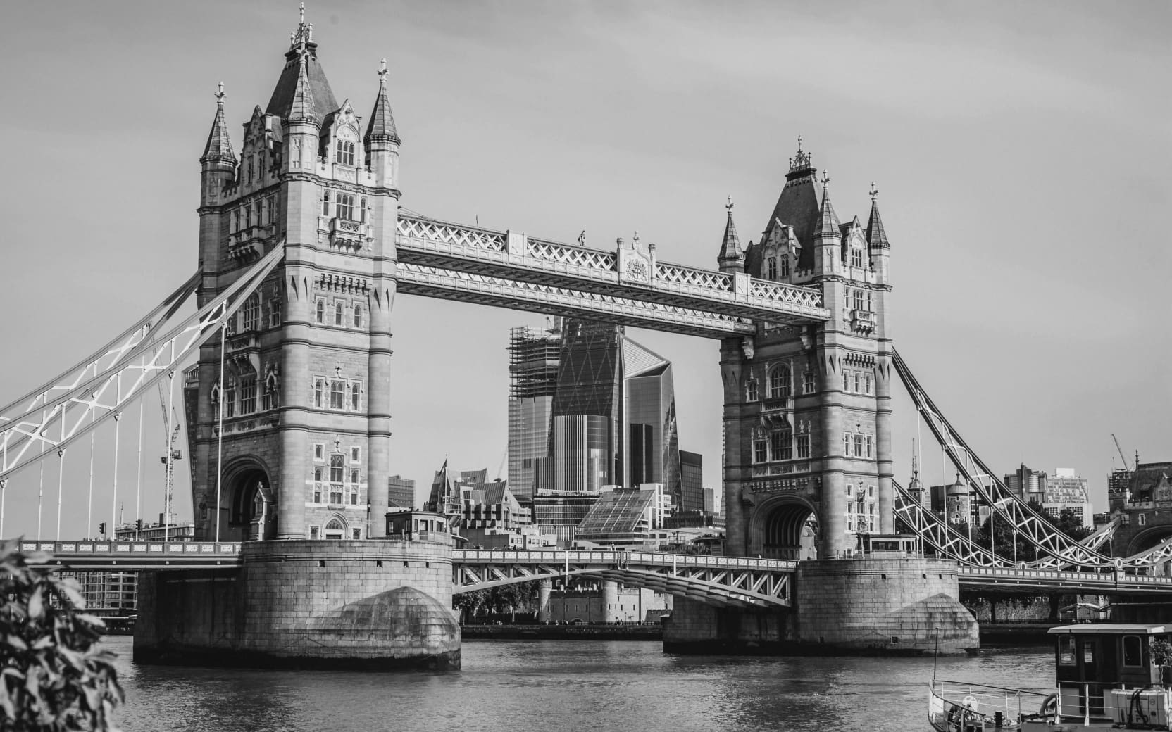 london-bed-bug-incident