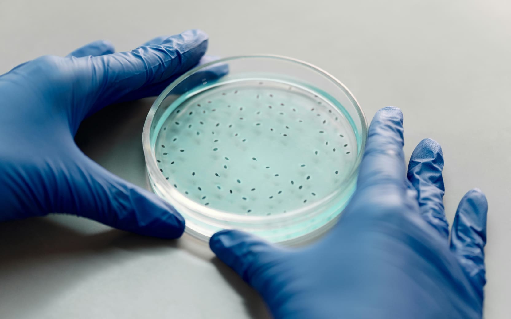 mrsa-bacteria-bud-bugs